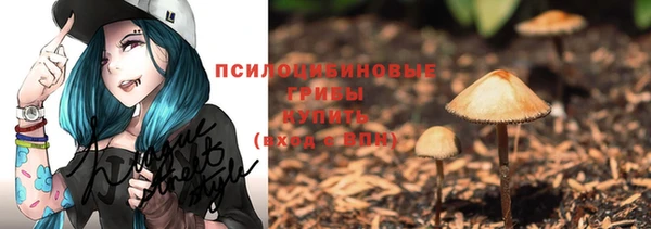 ALPHA PVP Алексеевка
