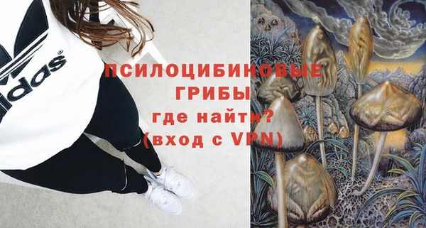 apvp Армянск