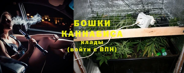 твердый Арсеньев