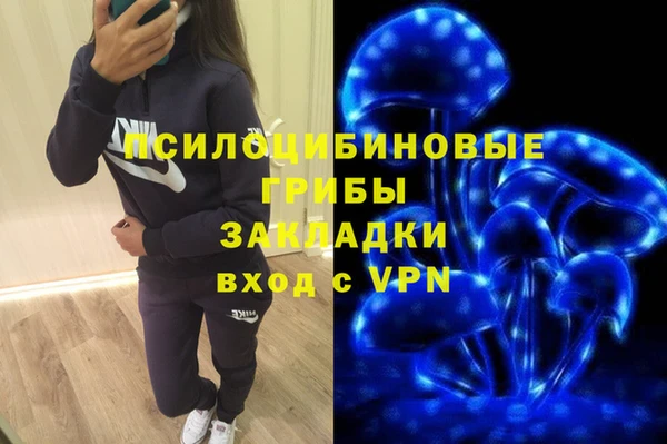 твердый Арсеньев