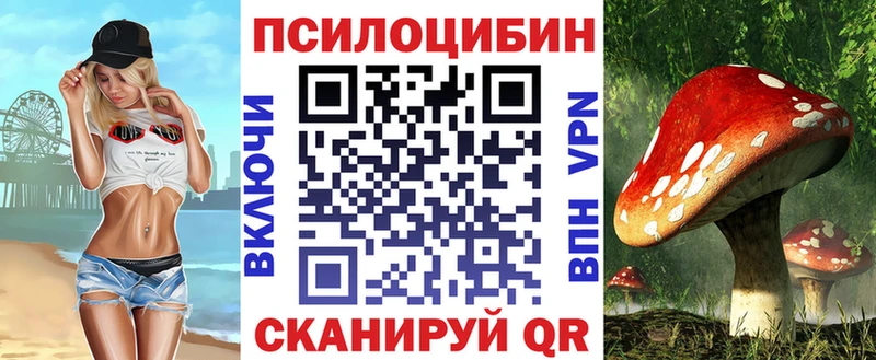 hydra зеркало  Армянск  Псилоцибиновые грибы MAGIC MUSHROOMS  где найти  